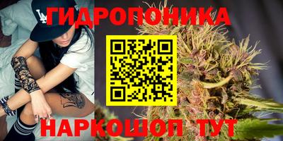 mix Бийск