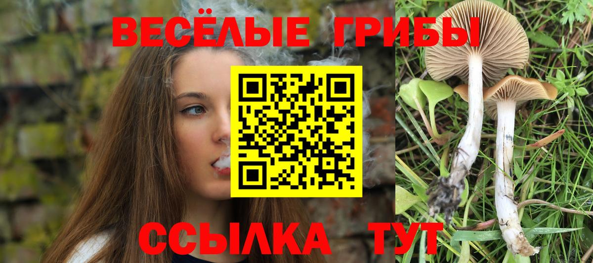 Калач-на-Дону  Галлюциногенные грибы Psilocybe  Псилоцибиновые грибы прущие грибы  Вход с VPN 